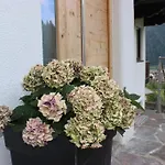 Appartement Zauberhaft