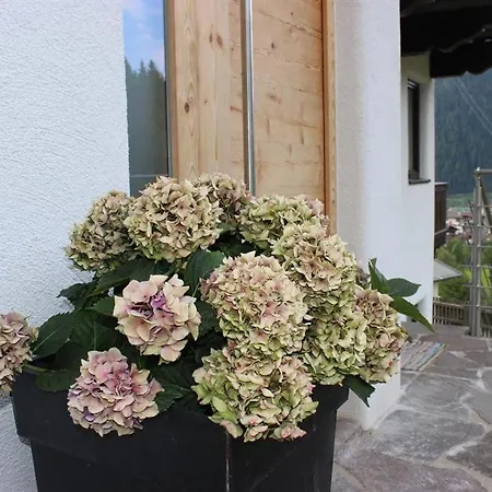 Apartament Zauberhaft