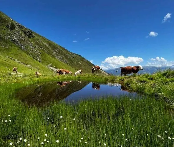 Appartamento Zauberhaft *